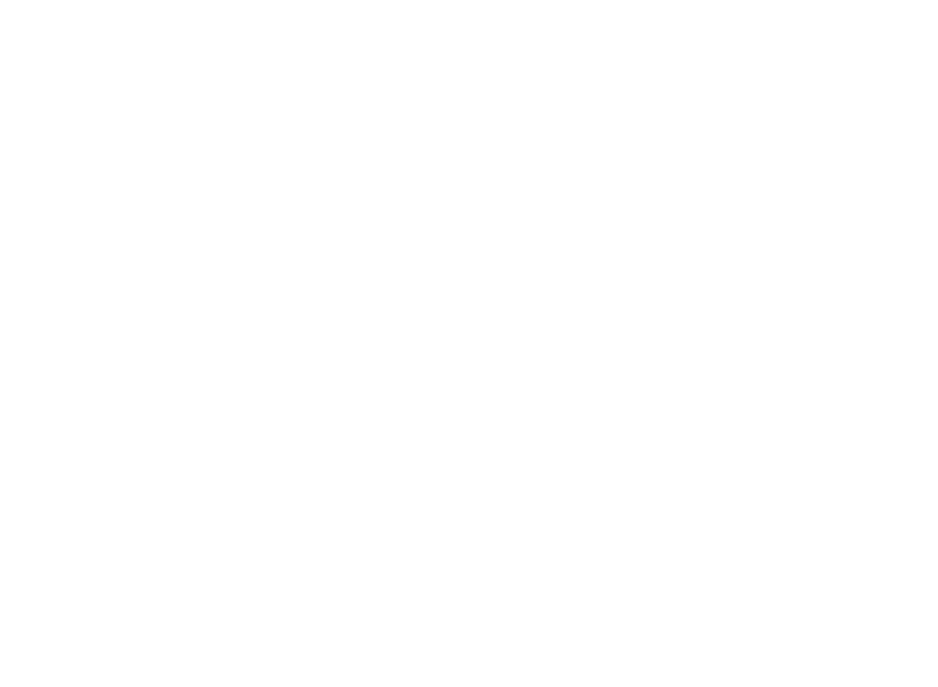 AN Lawfirm Logo